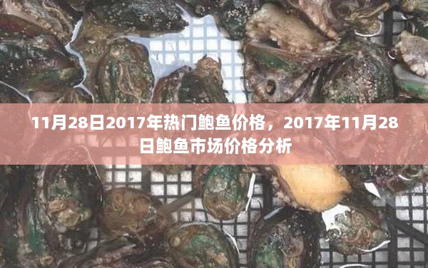 2017年11月28日鲍鱼市场价格分析，热门鲍鱼价格走势观察