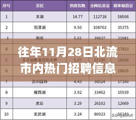 往年11月28日北流市热门招聘信息解析与求职步骤指南