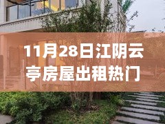 11月28日江阴云亭房屋出租热门探访，云上居特色小店与隐藏的宝藏小巷