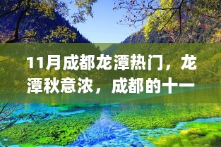 成都龙潭秋意浓，自信与成就的火花在变化中闪耀