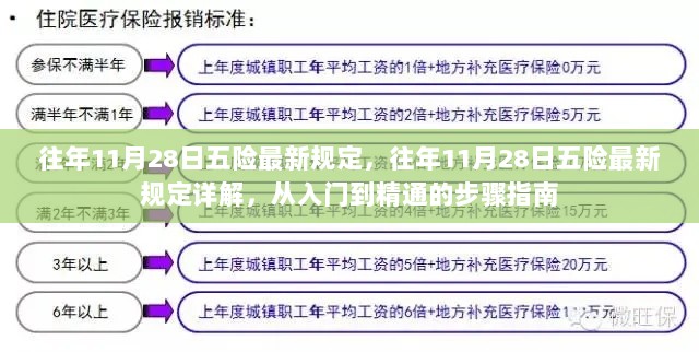 往年11月28日五险最新规定详解，从入门到精通的步骤指南