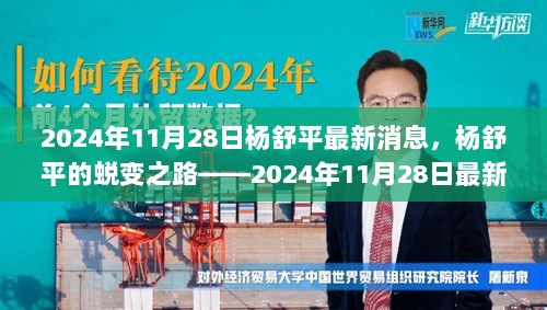 杨舒平的蜕变之路，2024年11月28日最新消息