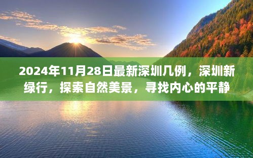 2024年11月28日深圳最新疫情情况及探索自然美景的内心平静之旅