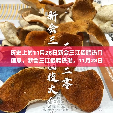 历史上的11月28日，新会三江招聘热潮的时代印记与变革