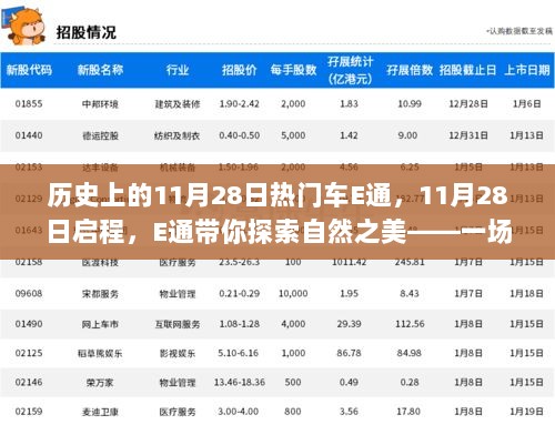 E通之旅，11月28日启程，探索自然之美，寻找内心的平静之旅