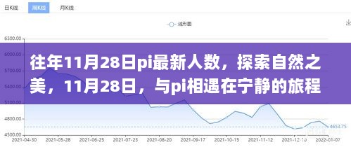 11月28日探索自然之美，与pi相遇在宁静的旅程中——历年人数统计揭秘