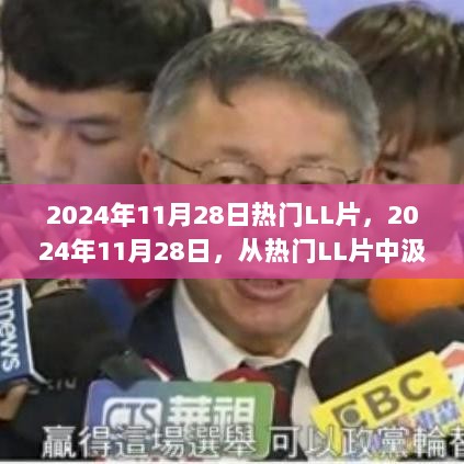 2024年11月28日热门LL片，自信与成就的火花之源