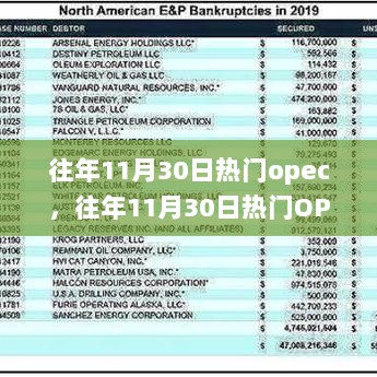 往年11月30日OPEC，全球能源市场的重要角色与影响