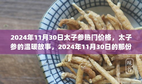 2024年11月30日，太子参的温暖故事与情价交织的热门价格