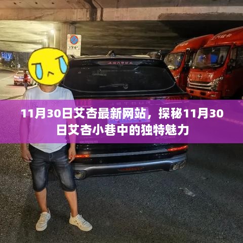 11月30日艾杏小巷的独特魅力探秘之旅