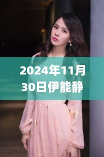 2024年11月30日伊能静最新采访视频全面解析