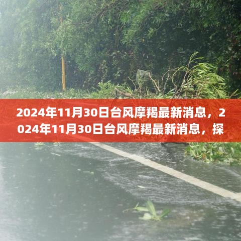 2024年11月30日台风摩羯最新消息，探秘城市小巷隐秘美食天堂的冒险之旅