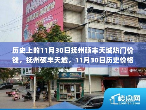 抚州硕丰天城，历史上的11月30日价格回顾与市场影响分析