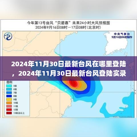 2024年11月30日最新台风登陆实录，特性、体验与市场对比分析