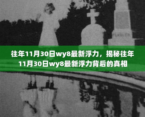 揭秘往年11月30日浮力背后的真相，合法探究与法律界限的探讨