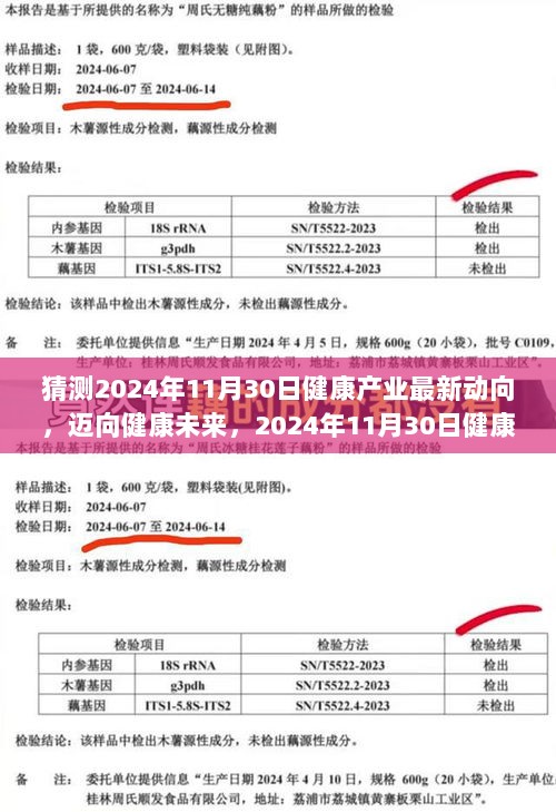 2024年11月30日健康产业新动向，迈向自信与成就的未来之旅