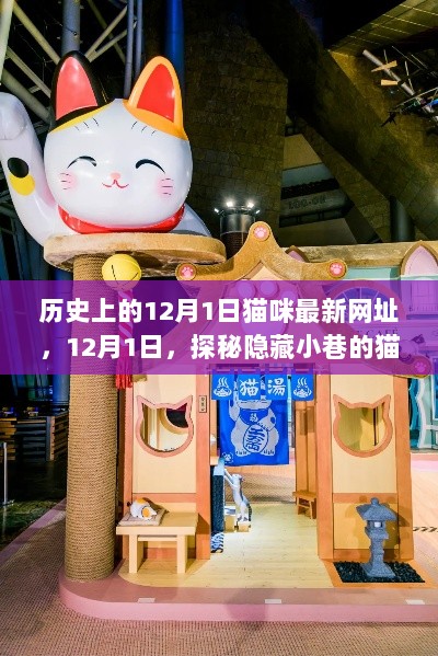 12月1日探秘，最新猫咪乐园网址揭秘，隐藏小巷的猫咪主题特色小店