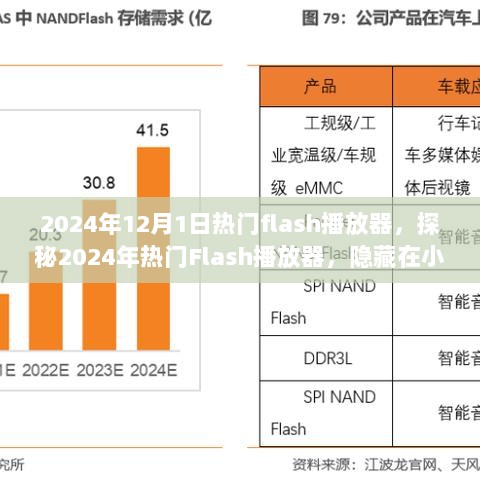 2024年热门Flash播放器探秘，隐藏在小巷深处的独特小店精选推荐