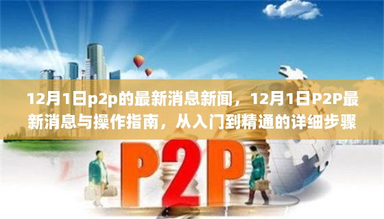 12月1日P2P最新消息与操作指南，从入门到精通的详细步骤解析