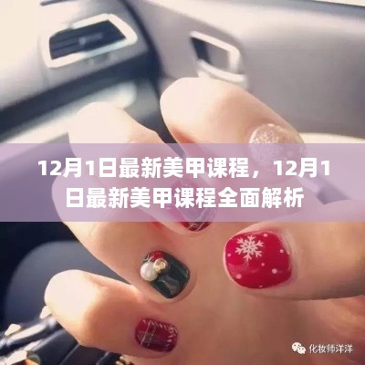 12月1日最新美甲课程全面解析