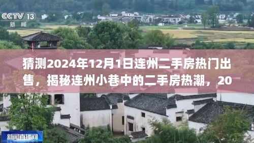 2024年连州二手房热潮探秘，小巷中的宝藏房产与隐秘小店揭秘