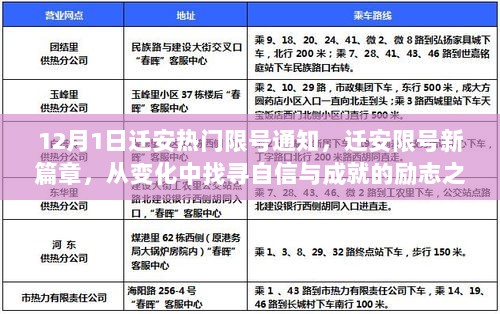 2024年12月2日 第20页