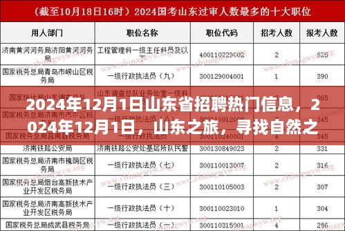 2024年12月1日山东招聘热门信息与自然探索之旅，寻找内心平静的旅程