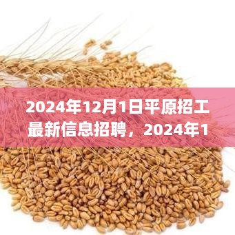 2024年12月1日平原招工最新信息，与自然共舞，寻找内心的宁静。