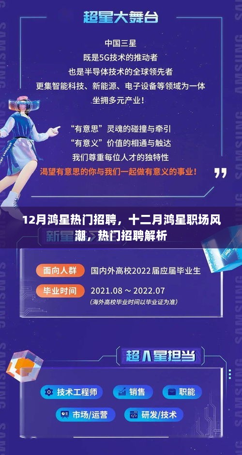 12月鸿星热门招聘解析，职场风潮与招聘动态