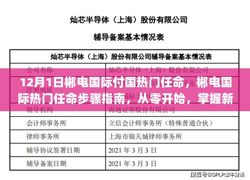 郴电国际热门任命解析，新职务必备技能指南