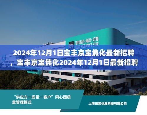 宝丰京宝焦化2024年12月1日最新招聘信息，焦化行业新机遇，诚邀英才共筑未来