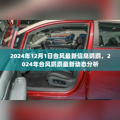 2024年台风鹦鹉最新动态分析