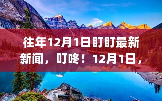 12月1日，探索自然美景的旅行新闻与叮咚！往年盯盯最新新闻回顾