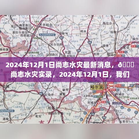 2024年尚志水灾实录，灾难与温情的见证