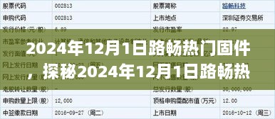 探秘2024年12月1日路畅热门固件，科技风味小店的深度解析