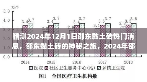 2024邵东黏土砖，神秘之旅与热门消息的探索