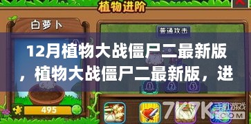 植物大战僵尸二12月最新版进阶攻略与技能提升指南