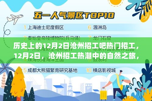 12月2日沧州招工热潮中的心灵之旅，寻找平静与喜悦的自然之旅