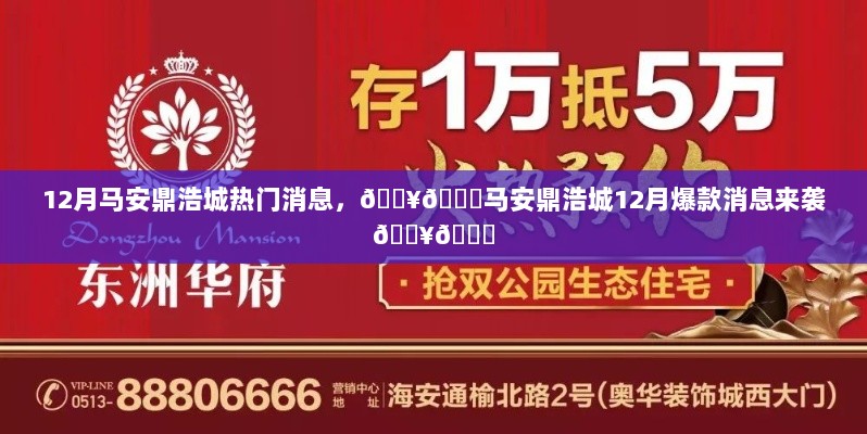 马安鼎浩城12月爆款消息热潮盘点