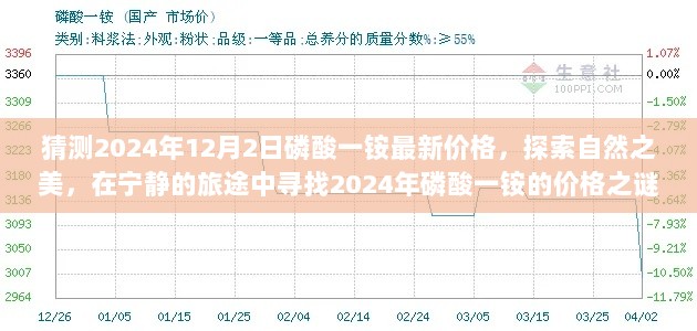 2024年12月3日 第20页