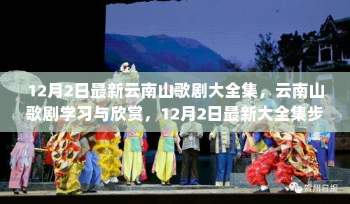 12月2日云南山歌剧大全集，学习与欣赏的步骤指南