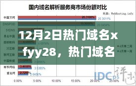 热门域名xfyy28的深度解析与互联网领域探索（12月2日）