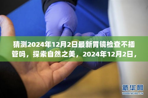 2024年12月2日，探索不插管胃镜检查的奇妙启程，感受自然之美的新体验