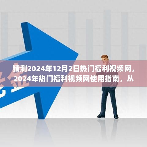 2024年热门福利视频网使用指南，从零开始掌握搜索与获取技巧的秘诀