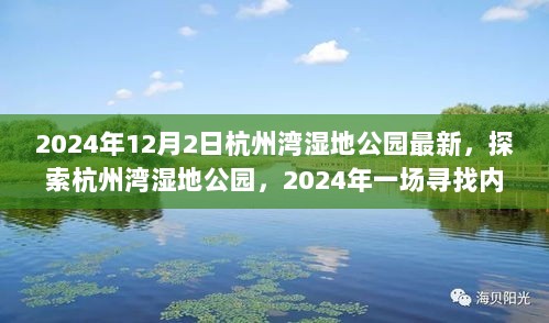 2024年杭州湾湿地公园探索之旅，寻找内心的平静之旅