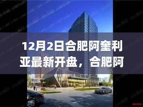 合肥阿奎利亚12月2日新盘评测与介绍