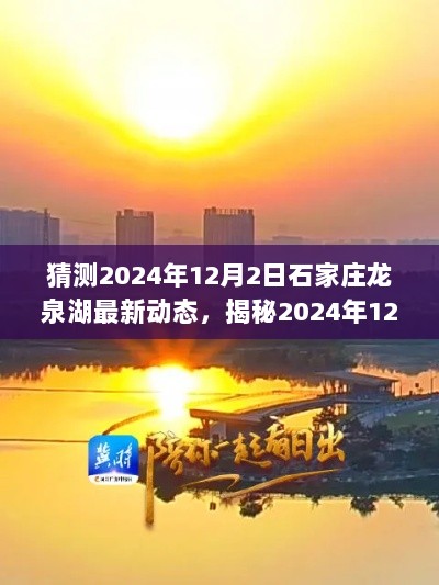 2024年12月2日石家庄龙泉湖最新动态前瞻与解析