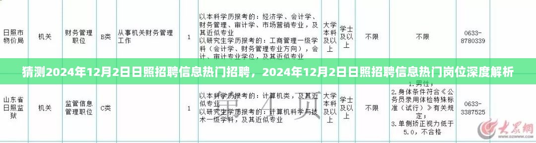 2024年12月2日日照招聘信息热门岗位深度解析