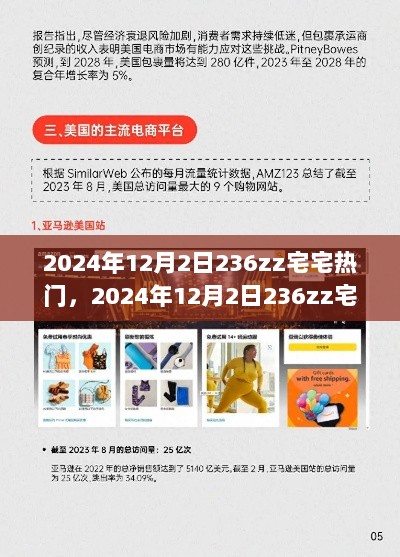 2024年12月2日宅宅热门产品全面解析