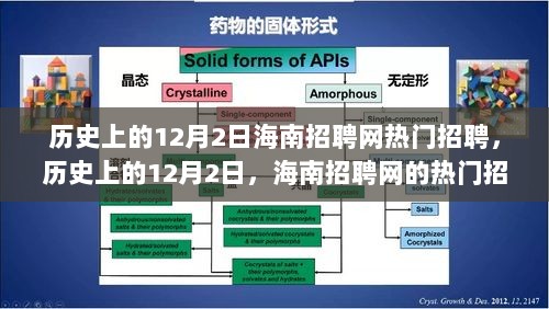 历史上的12月2日，海南招聘网热门招聘与人才流动深度解析